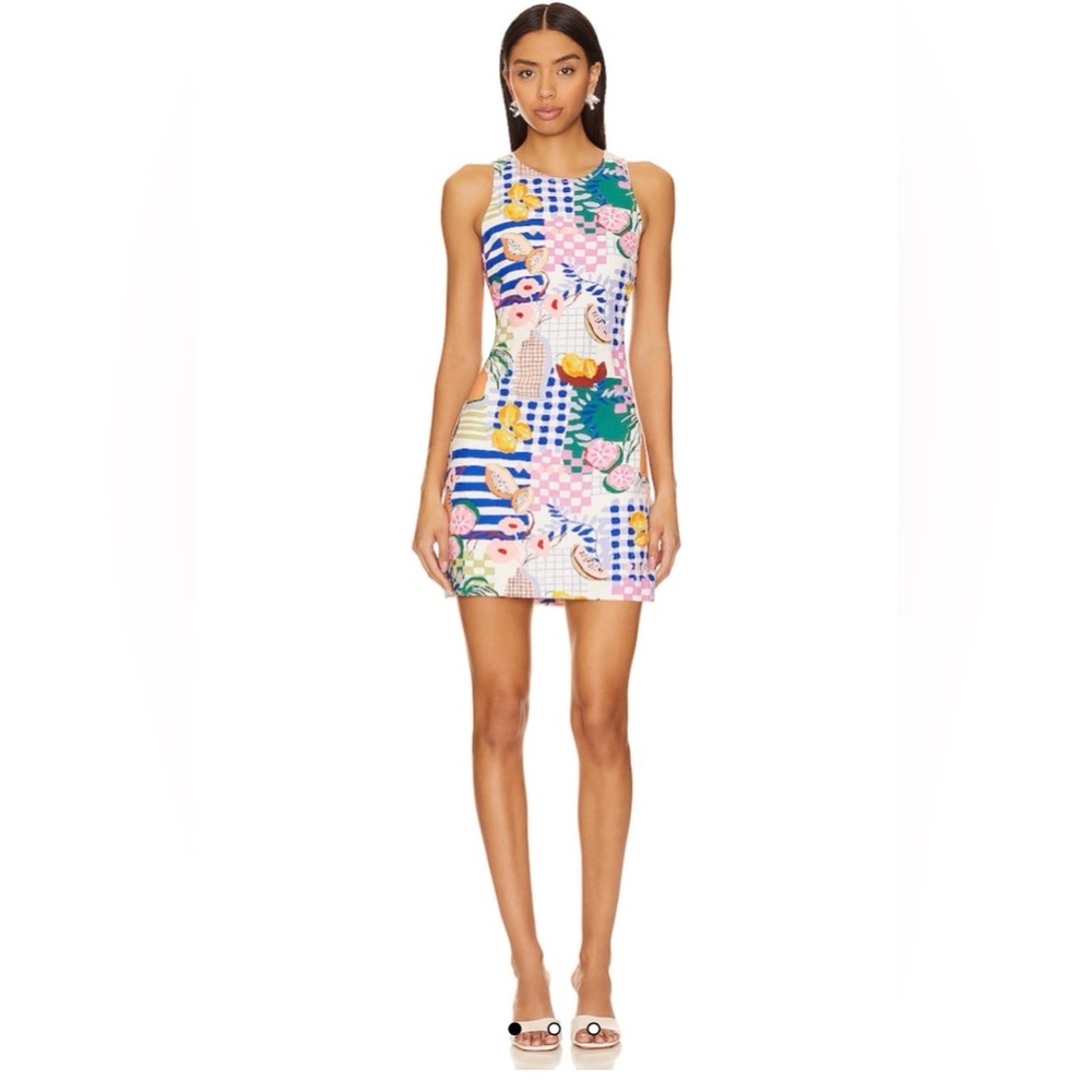 MINKPINK Floral Geo Multicolor Sleeveless Mini Dress